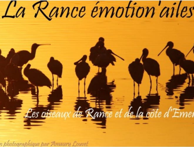 Exposition - La Rance, Emotion 